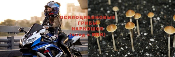 хмурый Михайловка