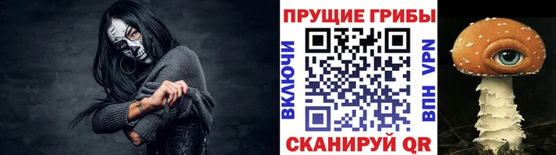 Псилоцибиновые грибы GOLDEN TEACHER  KRAKEN вход  Иноземцево 